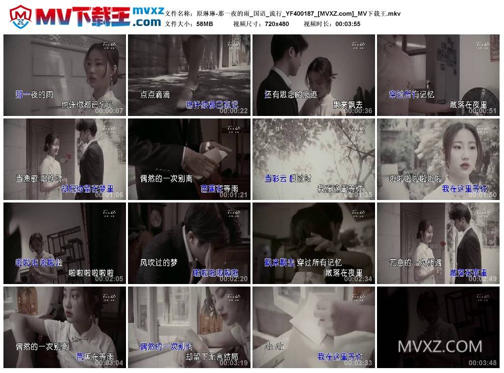 原琳琳-那一夜的雨_国语_流行_YF400187